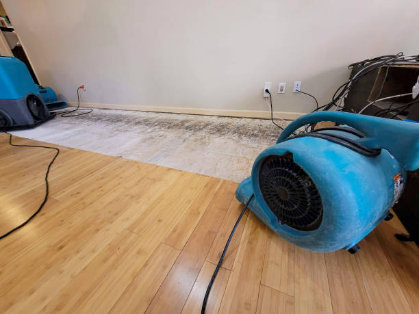 Professional Emergency Water Damage technician working in Cromwell, MN